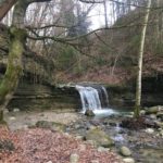 Copie de IMG_1828