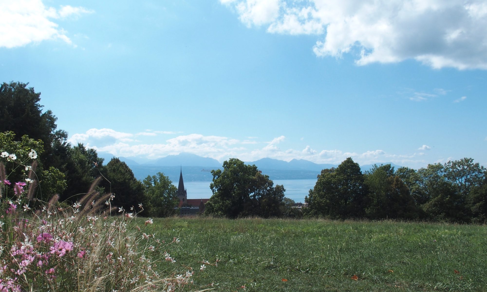 Lausanne, Hermitage, Vue sur la cathédrale,le lac et les Préalpes françaises